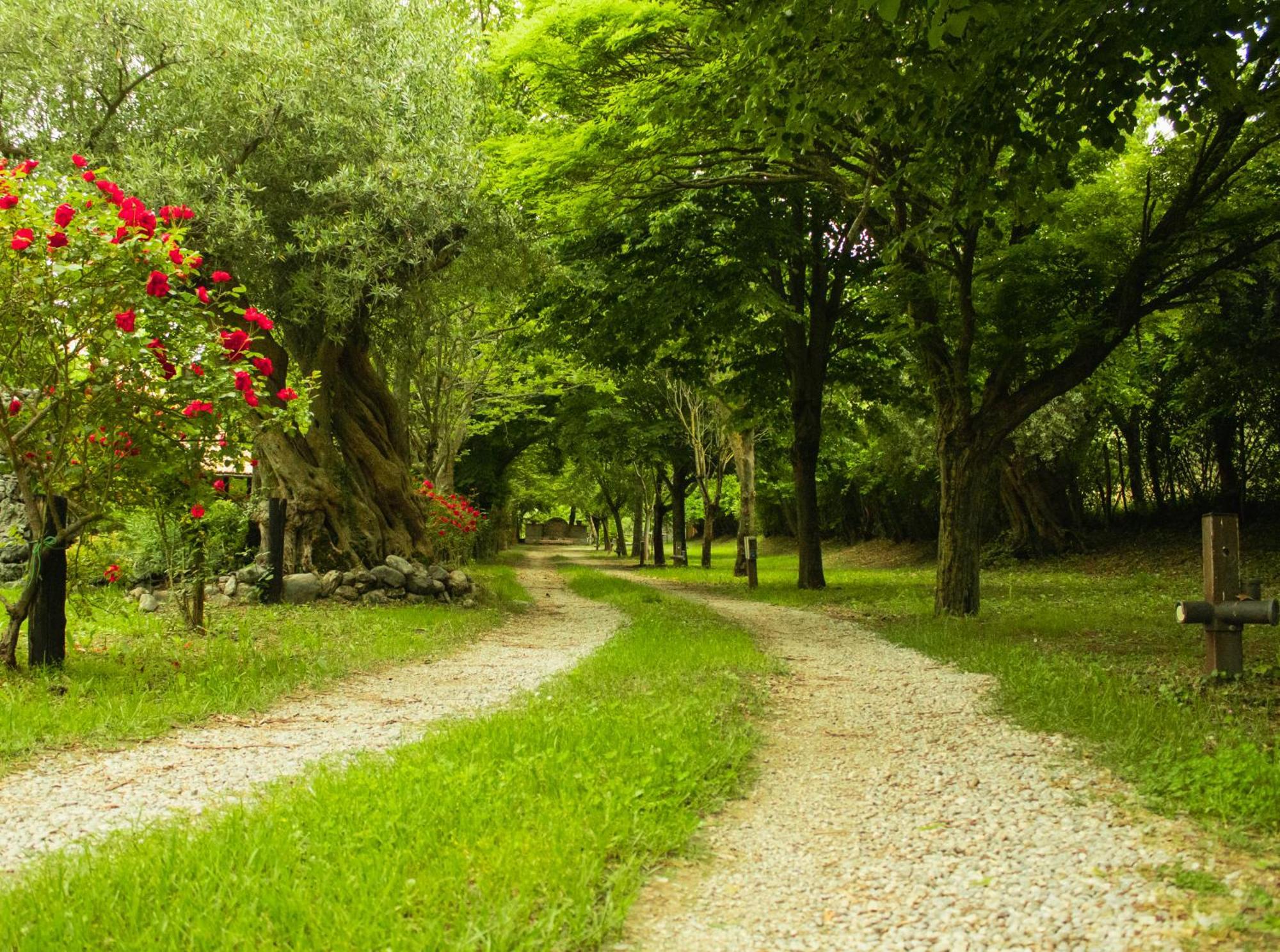 Agriturismo La Locanda Del Parco Morano Calabro Bagian luar foto