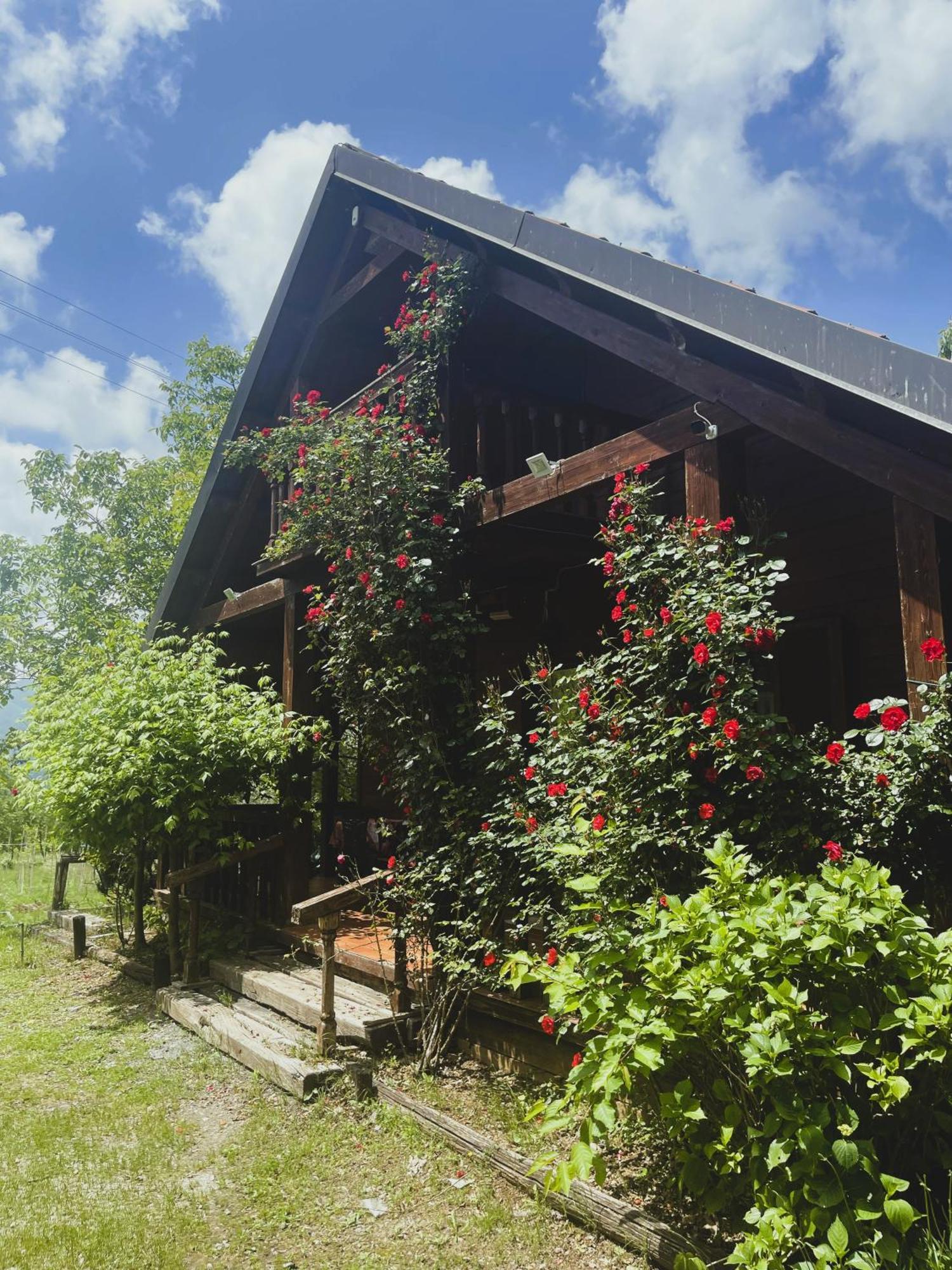 Agriturismo La Locanda Del Parco Morano Calabro Bagian luar foto