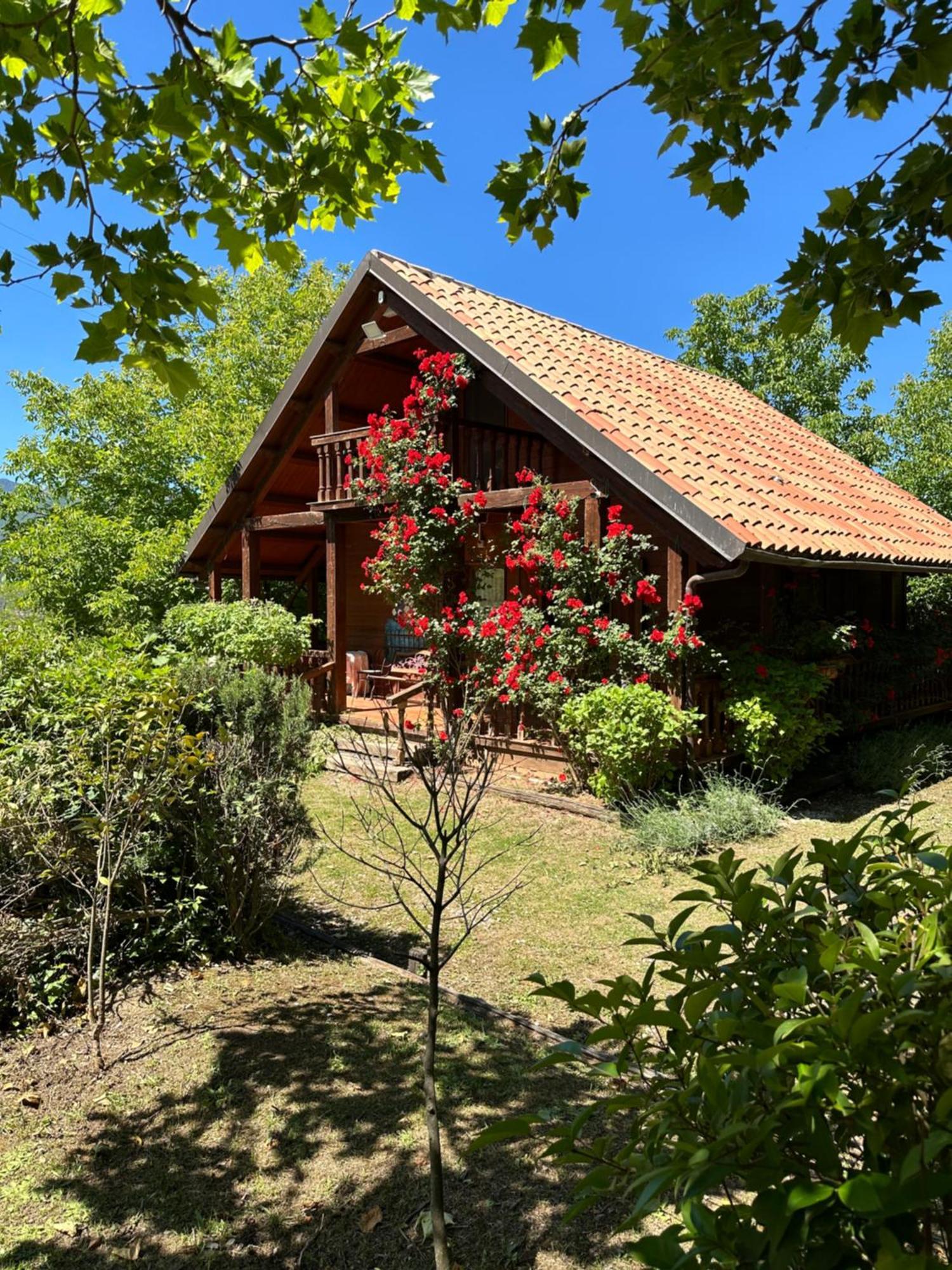 Agriturismo La Locanda Del Parco Morano Calabro Bagian luar foto