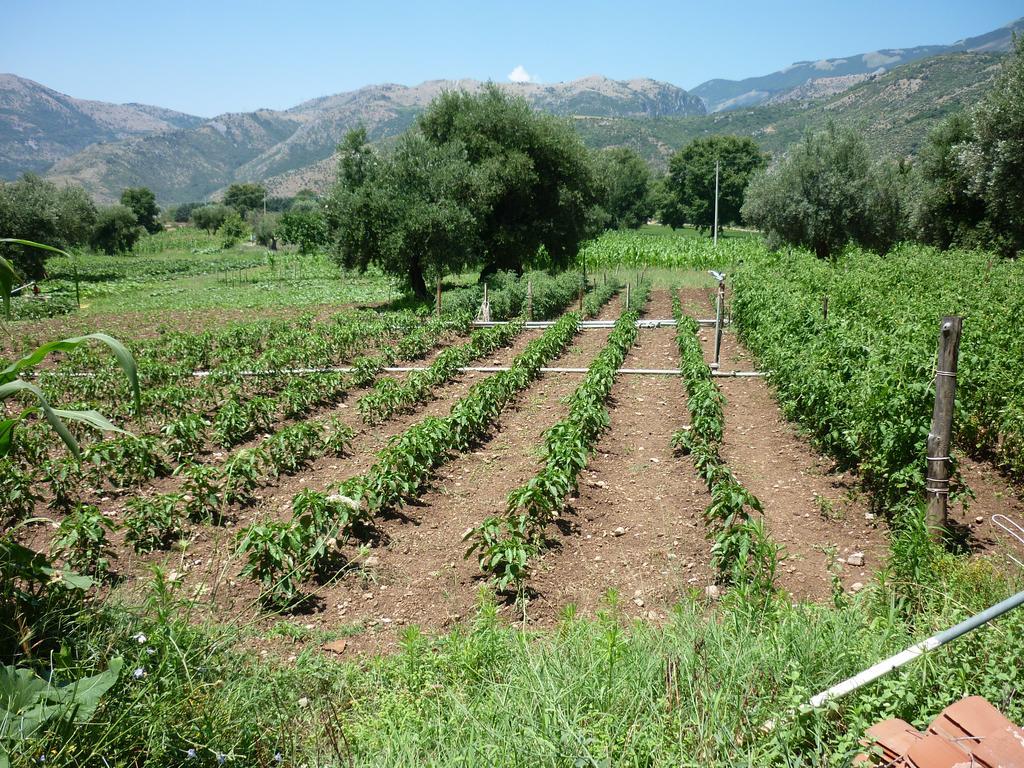 Agriturismo La Locanda Del Parco Morano Calabro Bagian luar foto
